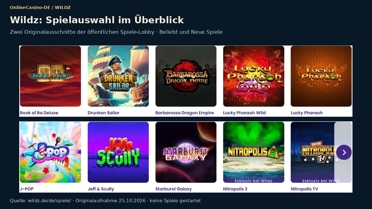 Spielauswahl bei Wildz mit Slots verschiedener Anbieter